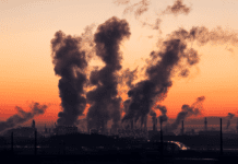 Можливі шляхи вирішення екологічних проблем у Маріуполі та всьому регіоні