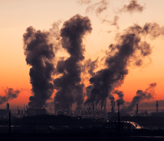 Можливі шляхи вирішення екологічних проблем у Маріуполі та всьому регіоні