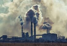 З’явилося авторське незалежне кіно про екологію в Маріуполі