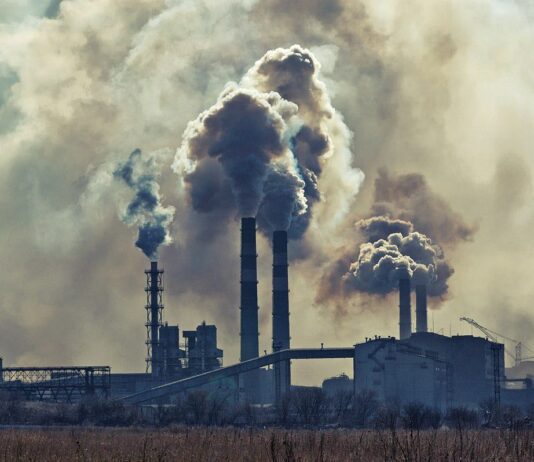 З’явилося авторське незалежне кіно про екологію в Маріуполі