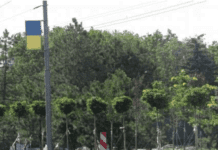 Міська рада прийняла акт регулюючий зелені зони Маріуполя