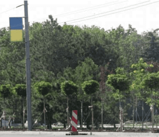 Міська рада прийняла акт регулюючий зелені зони Маріуполя