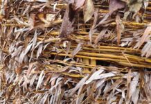 Перші компостери в дитсадку Маріуполя. Хто і навіщо їх встановив?