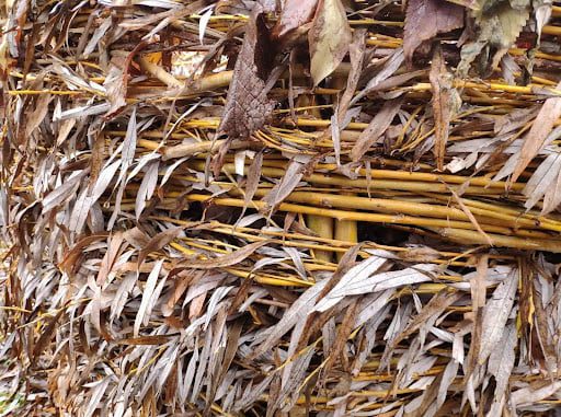 Перші компостери в дитсадку Маріуполя. Хто і навіщо їх встановив?