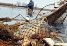 Маріупольці порушують правила риболовлі. Кого штрафують?