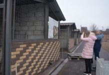 Маріуполь передає досвід Краматорську по догляду за безпритульними тваринами
