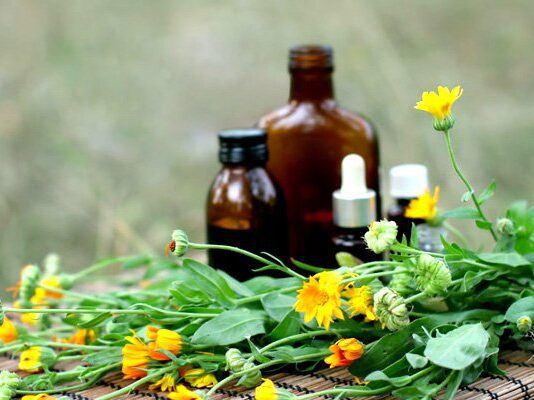 Яка користь календули? Огляд лікарських засобів